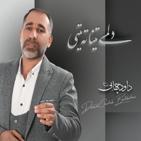 دانلود آهنگ داود چهابی بهبهانی به نام دلمی تینا ته میتی
